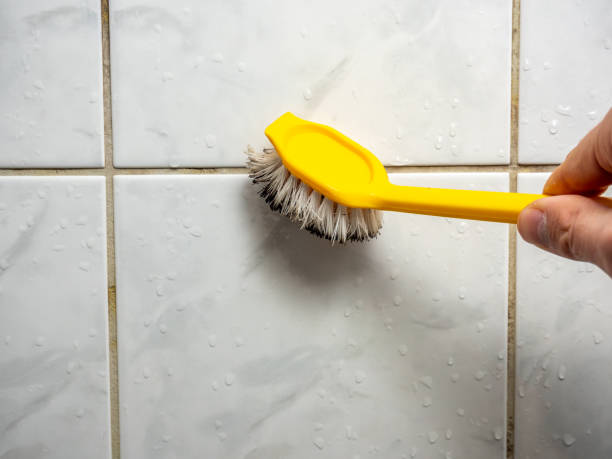 Best Office Mold Removal Services  in Montrose, MN