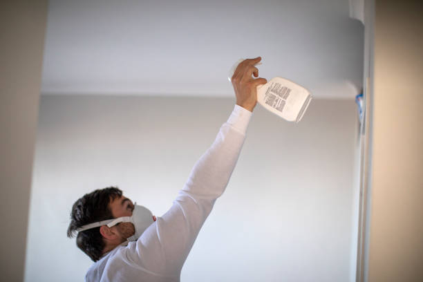 Best Toxic Mold Removal  in Montrose, MN