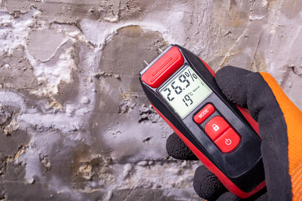 Best Professional Mold Removal  in Montrose, MN