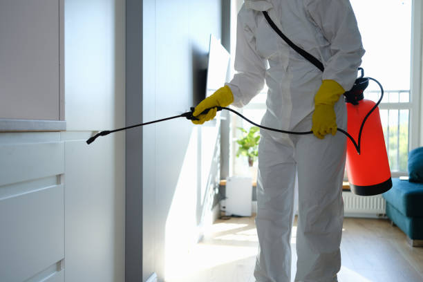 Best Mold Testing  in Montrose, MN