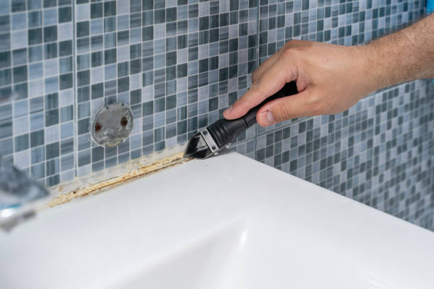 Best Mold Testing  in Montrose, MN